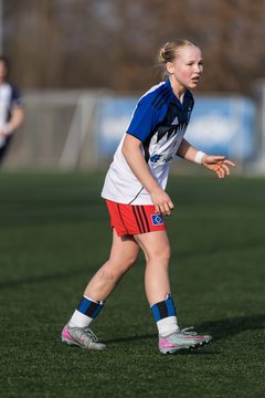 Bild 397 - wBJ Hamburger SV - Hertha BSC : Ergebnis: 2:1